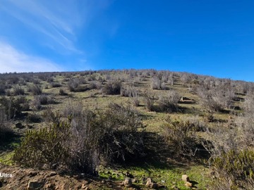 Venta / Parcela / La Serena