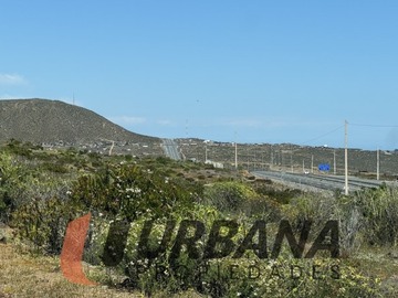 Imagen 12