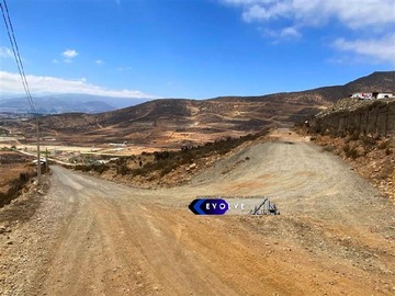 Imagen 5