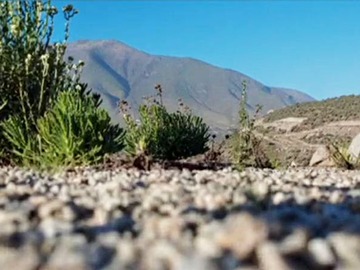 Venta / Parcela / La Serena