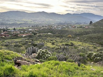 Imagen 6