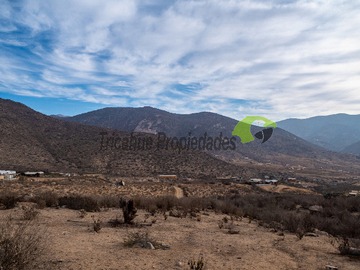 Imagen 8