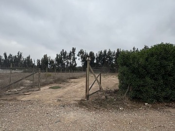 Imagen 9
