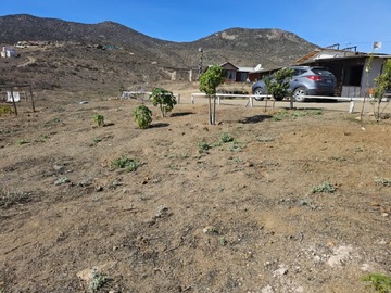 Imagen 17