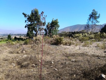 Imagen 17