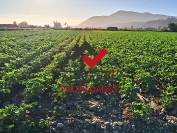 Venta / Parcela / La Serena