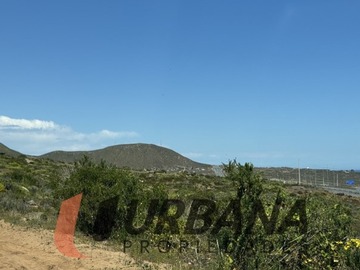 Imagen 16