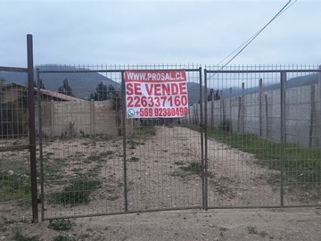 Imagen 16