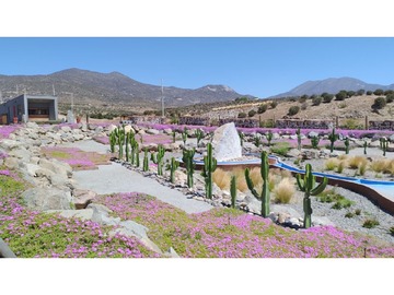 Imagen 6