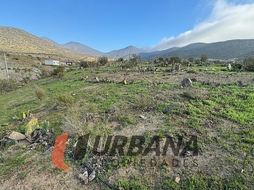 Imagen 4