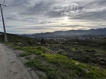 Imagen 10