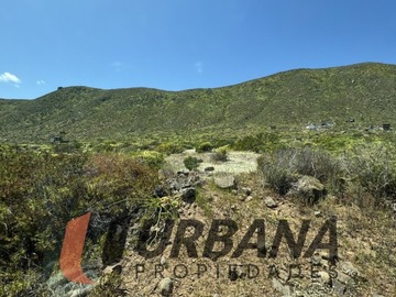Imagen 11
