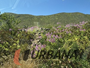 Imagen 6