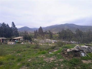 Imagen 12
