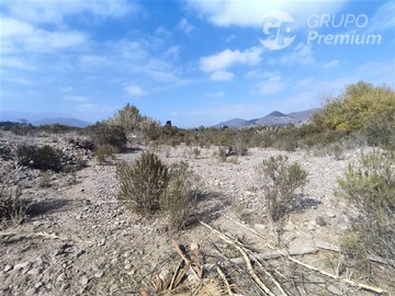 Imagen 19