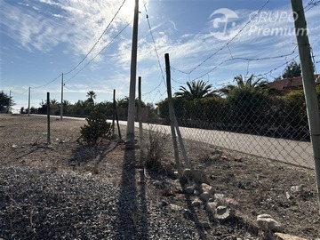 Imagen 9