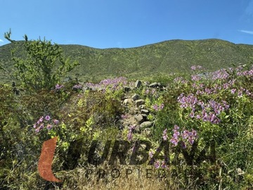 Imagen 8