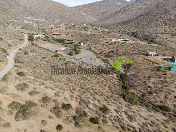 Imagen 6