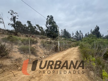 Imagen 14