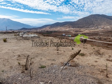 Imagen 7