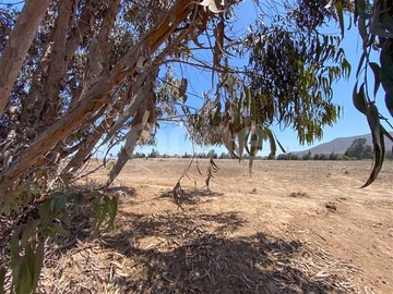 Venta / Parcela / La Serena