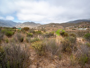 Venta / Parcela / La Serena