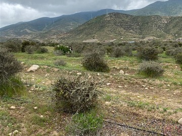 Venta / Parcela / La Serena
