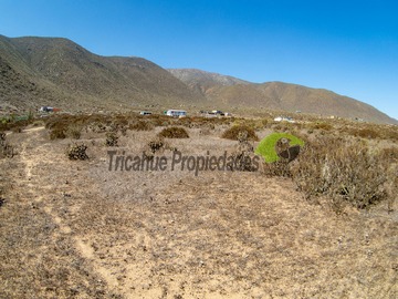 Imagen 11