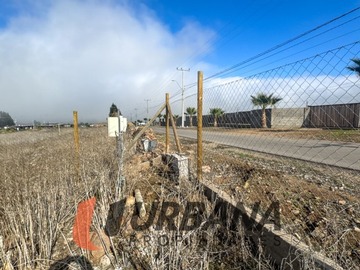 Imagen 14
