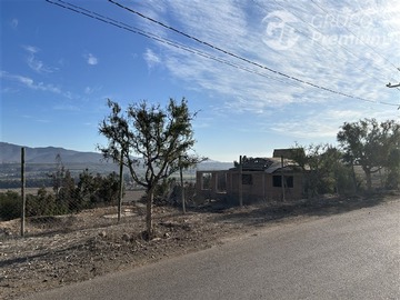 Imagen 7