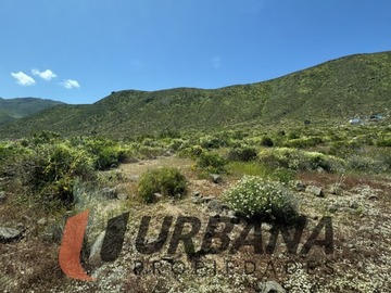 Imagen 13
