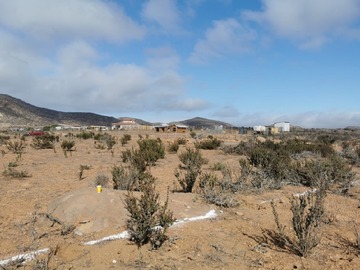 Imagen 7