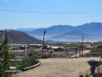 Imagen 16
