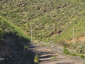 Venta / Parcela / La Serena