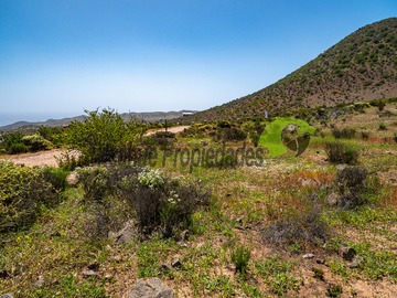 Imagen 8