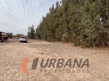 Imagen 5