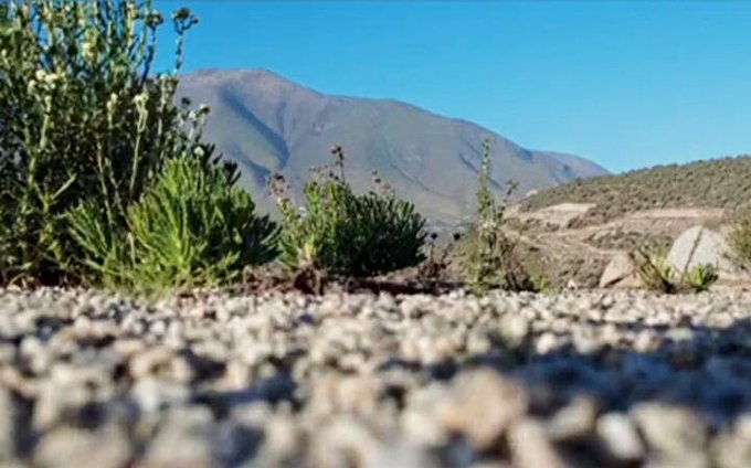 La tranquilidad que buscas!!