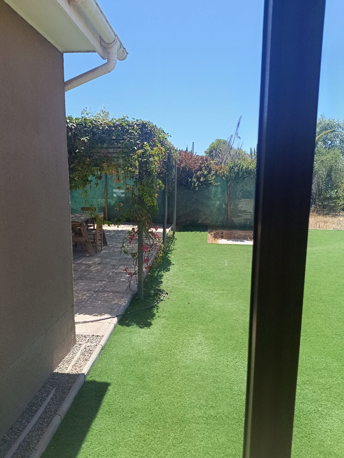 Patio posterior