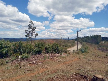 Venta / Parcela / La Unión