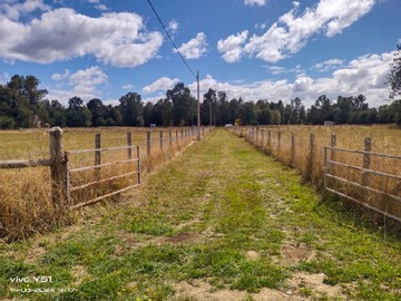 Venta / Parcela / La Unión