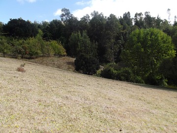 Imagen 17