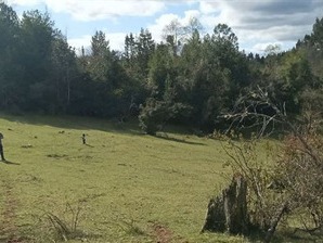 Venta / Parcela / La Unión