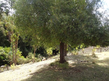 Imagen 14