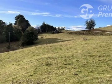 Venta / Parcela / Lago Ranco