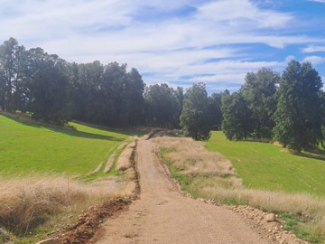 Venta / Parcela / Lago Ranco