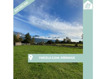 Venta / Parcela / Lago Ranco