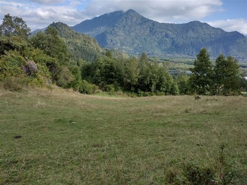 Venta / Parcela / Lago Ranco