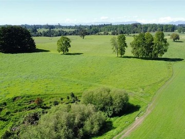 Venta / Parcela / Lago Ranco