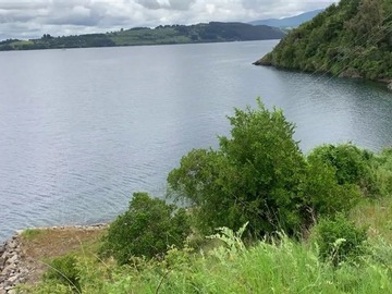 Venta / Parcela / Lago Ranco