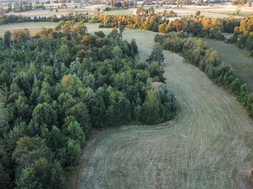 Venta / Parcela / Lago Ranco